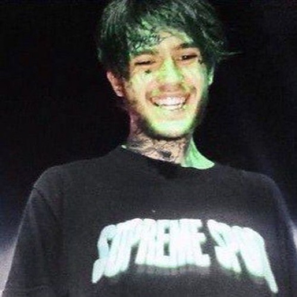 Meet your Posher, Sophia - Picture 1 of 1